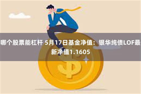 哪个股票能杠杆 5月17日基金净值：银华纯债LOF最新净值1.1605