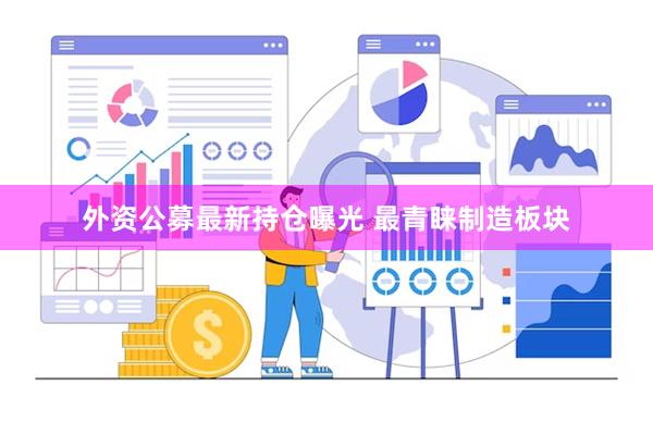 外资公募最新持仓曝光 最青睐制造板块