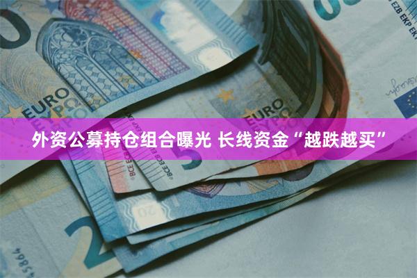 外资公募持仓组合曝光 长线资金“越跌越买”