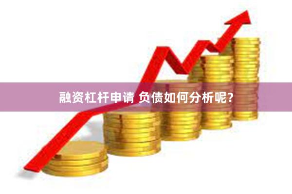 融资杠杆申请 负债如何分析呢？