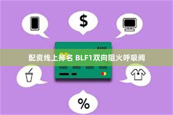 配资线上排名 BLF1双向阻火呼吸阀