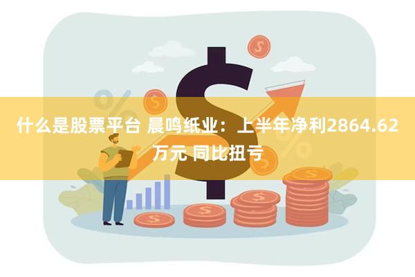 什么是股票平台 晨鸣纸业：上半年净利2864.62万元 同比扭亏