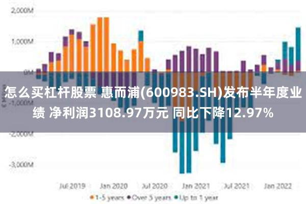 怎么买杠杆股票 惠而浦(600983.SH)发布半年度业绩 净利润3108.97万元 同比下降12.97%