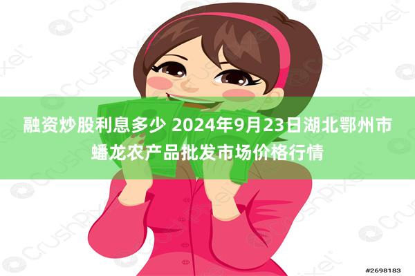 融资炒股利息多少 2024年9月23日湖北鄂州市蟠龙农产品批发市场价格行情