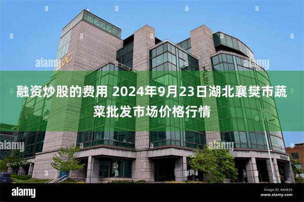 融资炒股的费用 2024年9月23日湖北襄樊市蔬菜批发市场价格行情