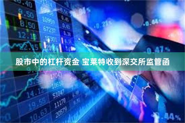 股市中的杠杆资金 宝莱特收到深交所监管函