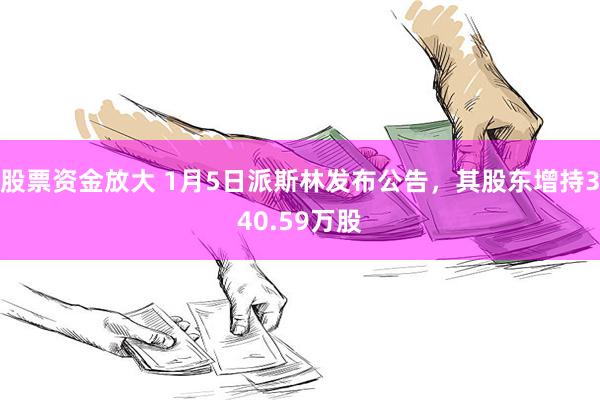 股票资金放大 1月5日派斯林发布公告，其股东增持340.59万股