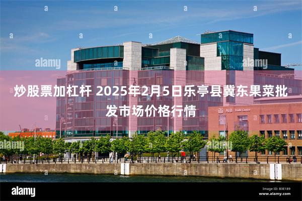 炒股票加杠杆 2025年2月5日乐亭县冀东果菜批发市场价格行情