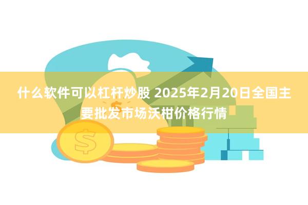 什么软件可以杠杆炒股 2025年2月20日全国主要批发市场沃柑价格行情