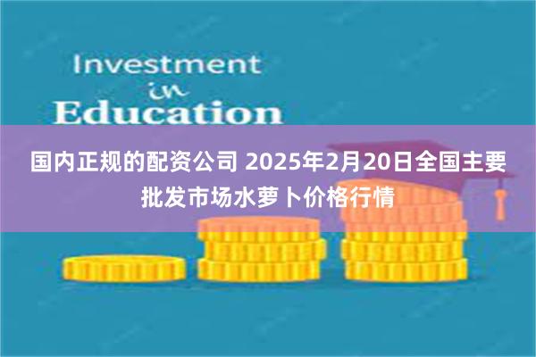 国内正规的配资公司 2025年2月20日全国主要批发市场水萝卜价格行情