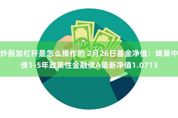 炒股加杠杆是怎么操作的 2月26日基金净值：蜂巢中债1-5年政策性金融债A最新净值1.0713